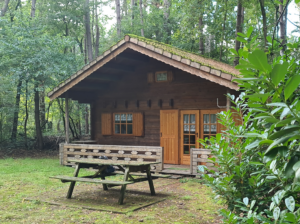 De boshut, Kempen, België, vakantiewoning