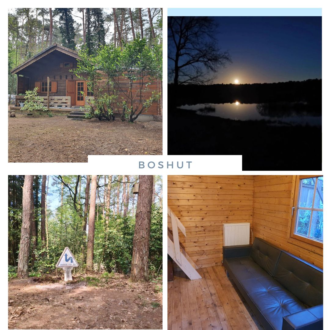 Boshut, boshuis, vakantiewoning, vakantiehuis, België, Kempen, bos, sauna, houtkachel